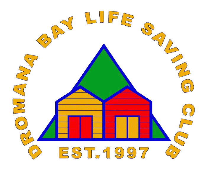 DBLSC-Logo-1 DBLSC-Logo-1